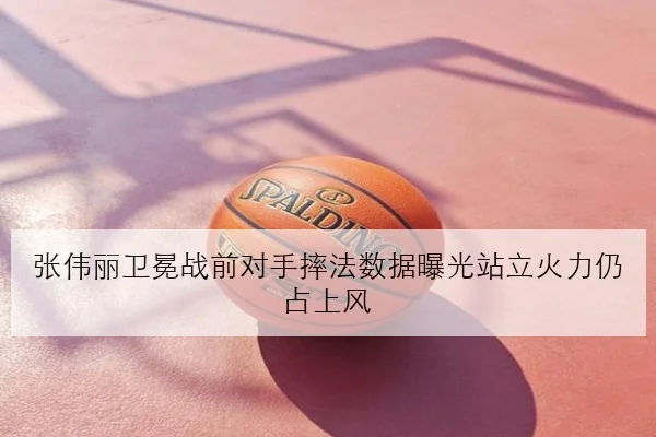 张伟丽卫冕战前对手摔法数据曝光站立火力仍占上风