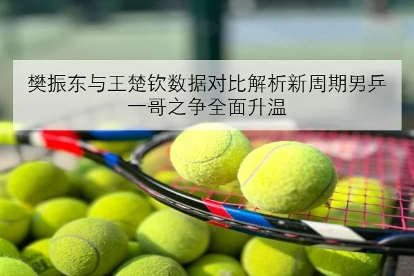 樊振东与王楚钦数据对比解析新周期男乒一哥之争全面升温